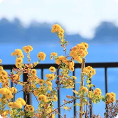 ホテルのイメージ写真