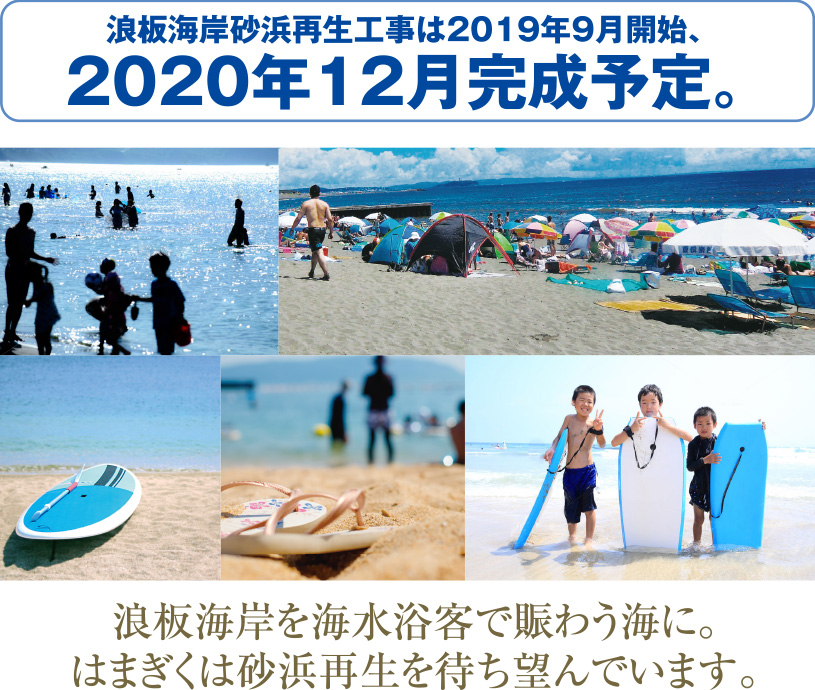 浪板海岸を海水浴客で賑わう海に。はまぎくは砂浜再生を待ち望んでいます。