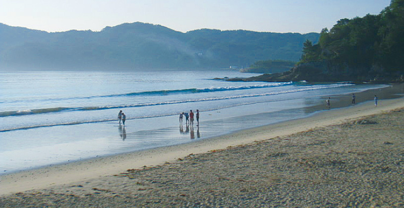 浪板海岸再生プロジェクト