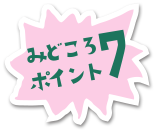 みどころポイント7