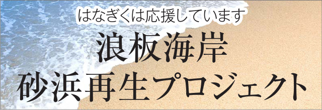 浪板海岸 砂浜再生プロジェクト