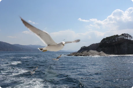 遊覧船宮古うみねこ丸